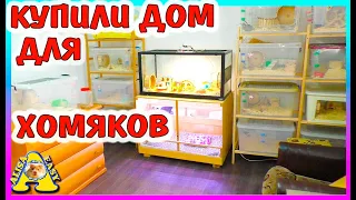 Где живут наши МОРСКИЕ СВИНКИ, ХОМЯКИ и КРЫСЫ / КУПИЛИ ДОМ  для ХОМЯКОВ /  Alisa Easy Pets