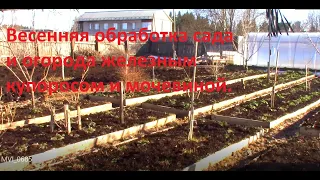Обработка сада и огорода карбамидом (мочевиной) и медным купоросом весной.