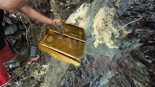 THE RICH FALLS FULL  OF TREASURES FOUND ONLY IN THE PHILIPPINES