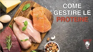 Quante proteine assumere? Quando e perché?