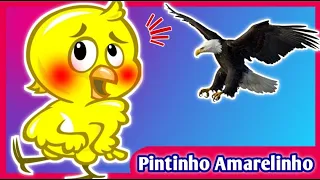 PINTINHO AMARELINHO - DVD GALINHA PINTADINHA | Mariana Conta 1 | Desenho Animado | Historia infantil