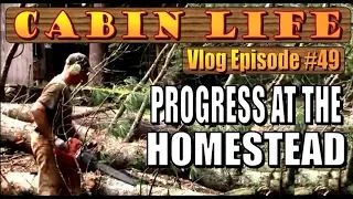 OFF GRID CABIN LIFE  Vlog 49   Progress At The Homestead   Garden Prep and Coffee Enemas