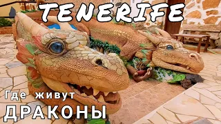 Тенерифе. Земля  Драконов, Испания. 4К