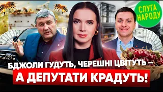 💥ЛЮТИЙ треш!🐝БДЖОЛИ носять ГРОШІ!💥НОВІ зашквари депутатів!💸СЛУГИ народу, звідки статки?! Яніна знає!