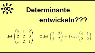 Determinante - Entwicklungssatz von Laplace - Beispielrechnung