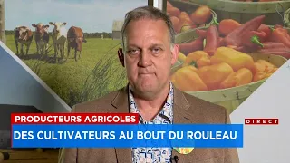 Québec met des bâtons dans les roues des agriculteurs au lieu de les aider, critique l’UPA : entrevu