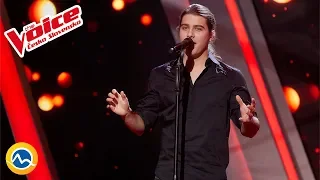 Whataya Want from Me (Adam Lambert)- Jaromír Bartoš - The Voice Czecho Slovakia 2019