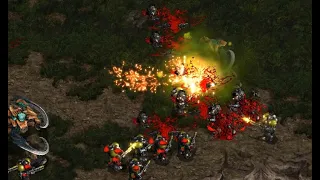 Last 🇰🇷 (T) v Queen 🇰🇷 (Z) on Heartbreak Ridge - StarCraft - Brood War REMASTERED