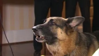 VP Biden shows his dog is "a talker"