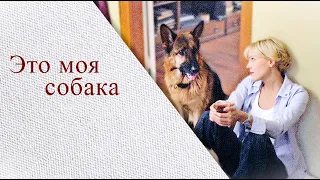 Её любимый сделал предложение дочке начальника |ЭТО МОЯ СОБАКА| Мелодрамушки | Фильм|