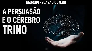 Cérebro Trino: Como Ativar o Cérebro de Alguém!? | Neuro Persuasão por André Buric
