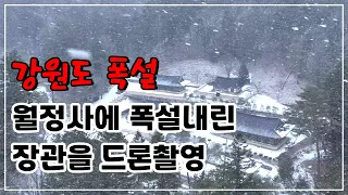 [역대급 멋짐] 눈 내리는 월정사 정말 장관임, 눈과 귀가 힐링됨, 안 보면 정말 후회함!!!