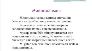 Вебинар "Инфекционные болезни кошек", Ганкина Ю. В., (клиника "Котонай") 14 января 2014, часть 2