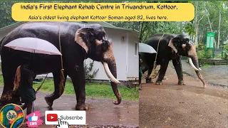 Kottoor Elephant Rehabilitation Centre Visit