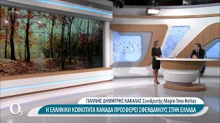 H ελληνική κοινότητα Καναδά θέλει να χαρίσει 40.000 δέντρα σε 200 δήμους στην Ελλάδα |27/10/2021|ΕΡΤ