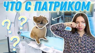 Неожиданная ОПЕРАЦИЯ У ПАТРИКА😰