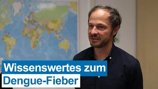 Dengue-Fieber – Experten-Interview zu den wichtigsten Fragen