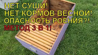 ПЧЁЛЫ ЕСТЬ СУШИ НЕТ КОРМОВЫХ РАМОК НЕТ что делать как быть ☝️🐝🐝