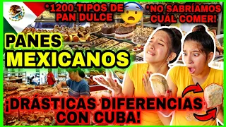 VARIEDADES🤯 de PANES MEXICO🇲🇽 2023 reaction ¡Si los MEXICANOS ven el PAN CUBANO🇨🇺 infartan😟! #Mexico