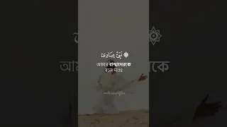 Surah Hijr - সূরা হিজর | আয়াত ৪৯ থেকে ৫০ | Abdul Hakim Mustafa