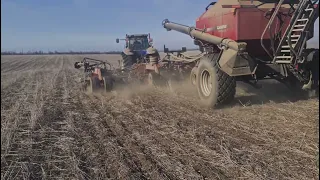 Посев горчицы жёлтой и белой. No-till