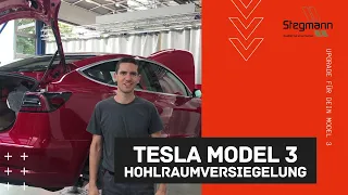 Model 3 Hohlraumversiegelung
