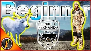 Beginner Series | Parque Fernando Special