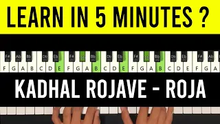 Kadhal Rojave Piano Tutorial | Keyboard Notes Chords | Roja Janeman with Lyrics Lesson | SPB