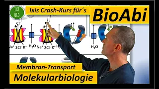 Membrantransport durch Biomembranen: Anwendungsaufgaben zum Transport durch Membranen