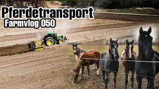 Staubiges Ackern | Pferdetransport 🐴| Osterroadtrip zu den Sorben - Farmvlog 050