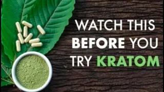 Watch This BEFORE You Try Kratom