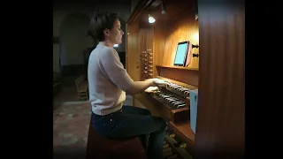 F. Chopin - Prelude op. 28 No. 4  (organ)