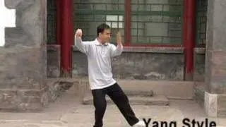 Comparison of Four Styles of Tai Chi