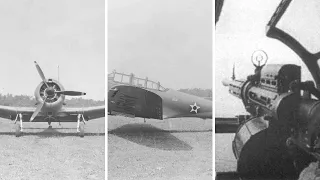 Warbirds: Defiant, Pe-8, Thunderbolt & Dauntless