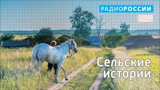 Сельские истории. Карамышево. Выпус 01.04.2019