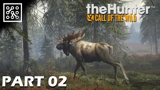 the Hunter: Call of the wild CZ | Medvědí útok  - Part 02 | Lets play | Česky