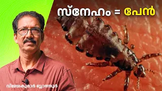 പേനാണ് നമ്മെ സ്നേഹം പഠിപ്പിച്ചത് Head louse facts- Human lice Pediculosis #louse #insects #malayalam