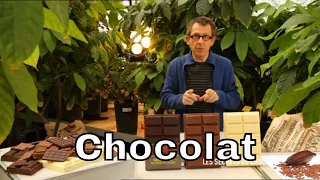Quels sont les différents chocolats ? - C'est Pas Sorcier