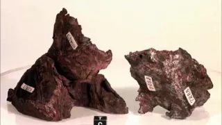 Сихотэ Алиньский метеорит-как это было?