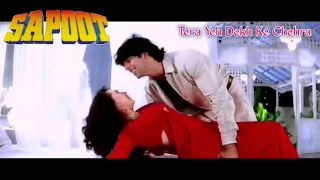 Tera Yeh Dekh Ke Chehra || SAPOOT || Akshay Kumar,Sunil Shetty,Karisma Kapoor&Sonali Bendre || Full