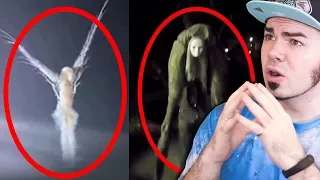 ANGELI  e CREATURE MISTERIOSE riprese in TELECAMERA