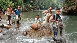 Fishing Net Video - Traditional Cast Net Fishing Village in The River Beautifull Natural (Part 31 )