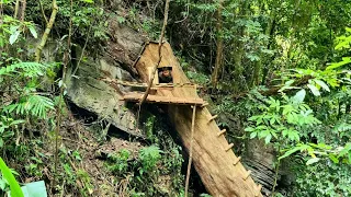 Make shelter in a giant rotting tree trunk, cook and spend the night in the forest alone