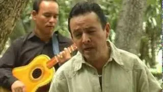 lagrimas de hombre -miguel palacios