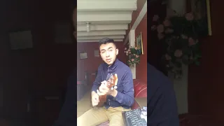 Créeme - Karol G, Maluma - Cover Ukulele