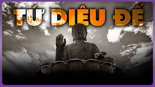 Hiểu Tứ Diệu Đế Có Thoát Nổi Luân Hồi? | Thế Giới Cổ Đại