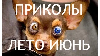 ЛУЧШИЕ ПРИКОЛЫ 2016 ЛЕТО УГАР ТРЕШ ЮМОР // BEST FUNNY COMPILATION SUMMER 2016