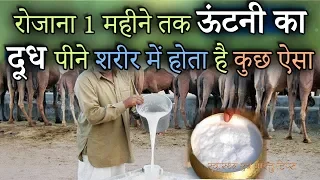 ऊंटनी का दूध के फायदे  | utni ke dudh ke fayde | camel milk benefits in hindi