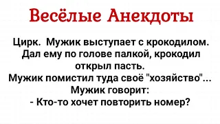 "Хозяйство" Мужика в Пасти у Крокодила! Сборник Смешных Анекдотов! Юмор!