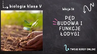 Biologia klasa 5 [Lekcja 16 - Pęd, budowa i funkcje łodygi]